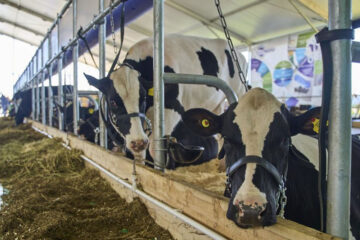 Сумма ущерба составила 3