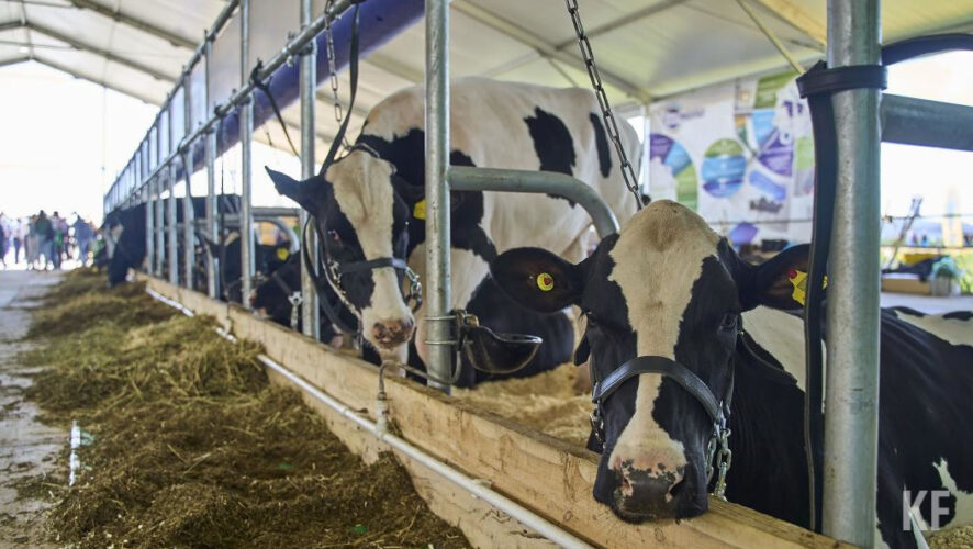 Сумма ущерба составила 3