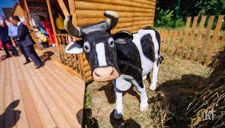 Правильный уход за коровами помогает фермерам Высокогорского района ежедневно увеличивать производство молока.