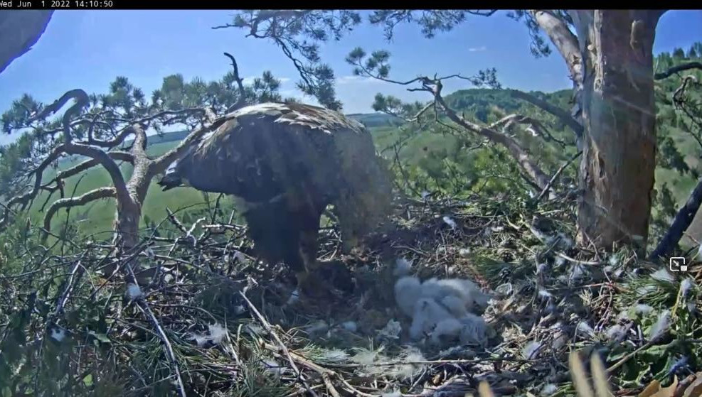 Процесс можно было увидеть в прямом эфире.