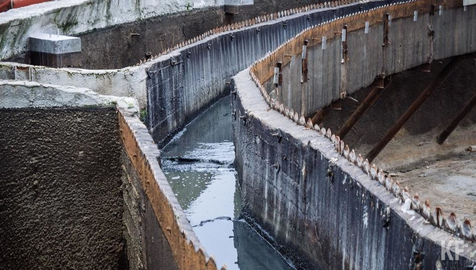 Учёные отмечают