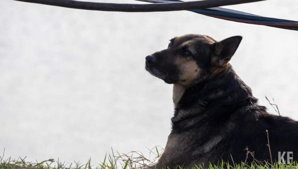 Мэр города Сергей Салмин отметил