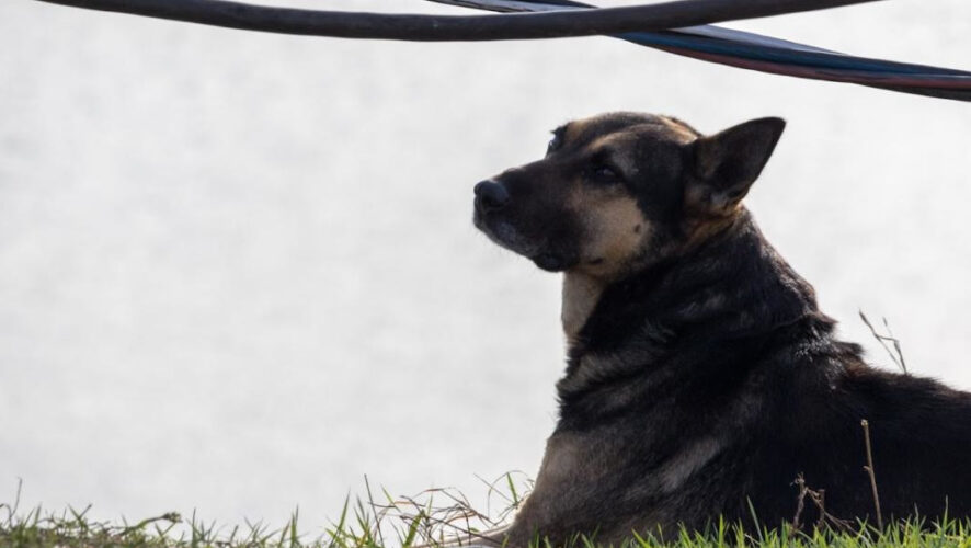 Мать и не подозревала
