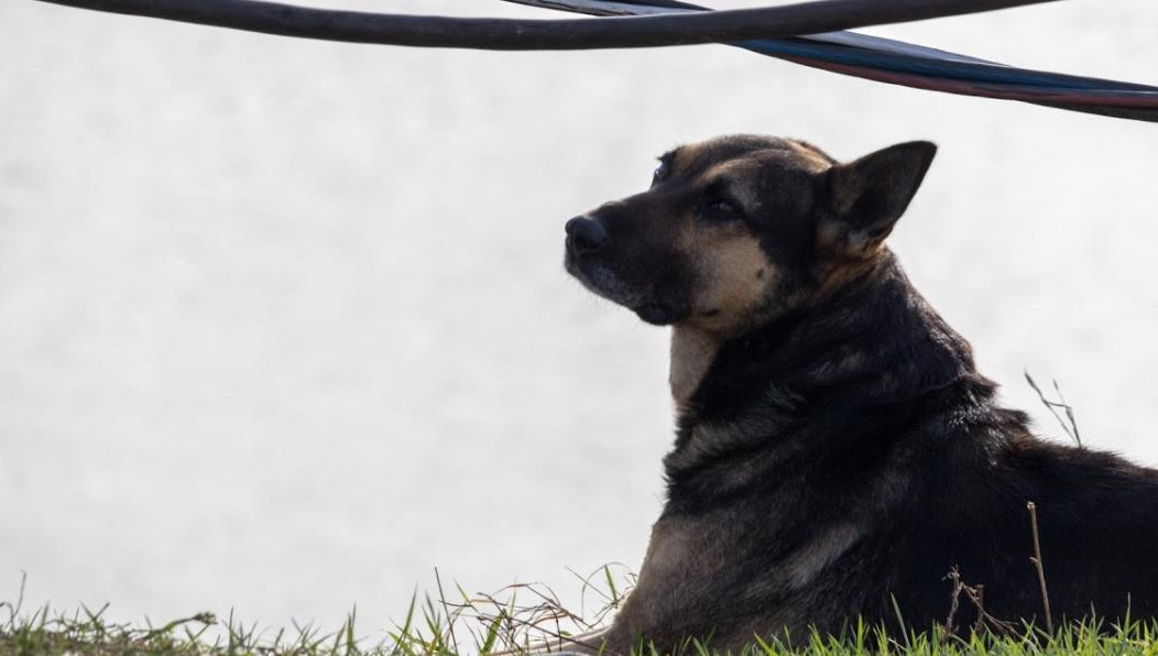 Мать и не подозревала