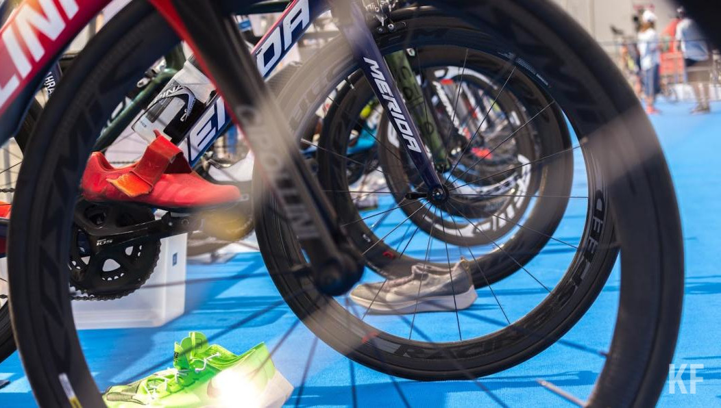 Хозяин оценил ущерб в 18 тысяч рублей.