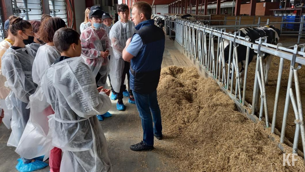 Люди вместо  путешествий за границу  изучают свой регион