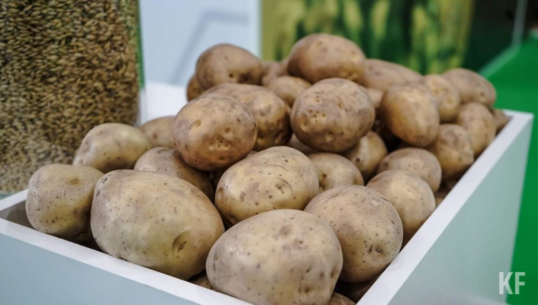 Согласно итогам минувшего года