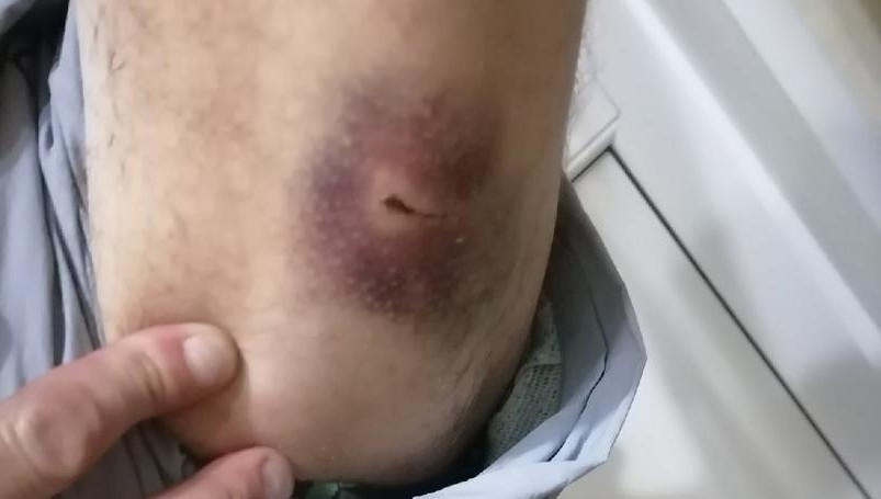 Обитатели Менделеева