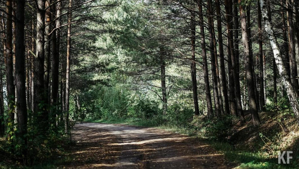 Теперь отправить продукцию можно за 20 долларов за кубометр.