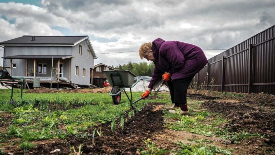 А Юго-восток решил &laquo;плыть&raquo; в одном фарватере с Союзом садоводов республики.