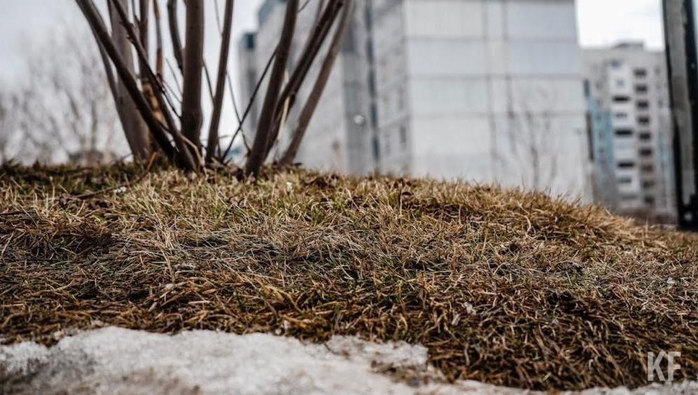 Деньги распределят в виде субсидий ряду научных учреждений по всей стране.