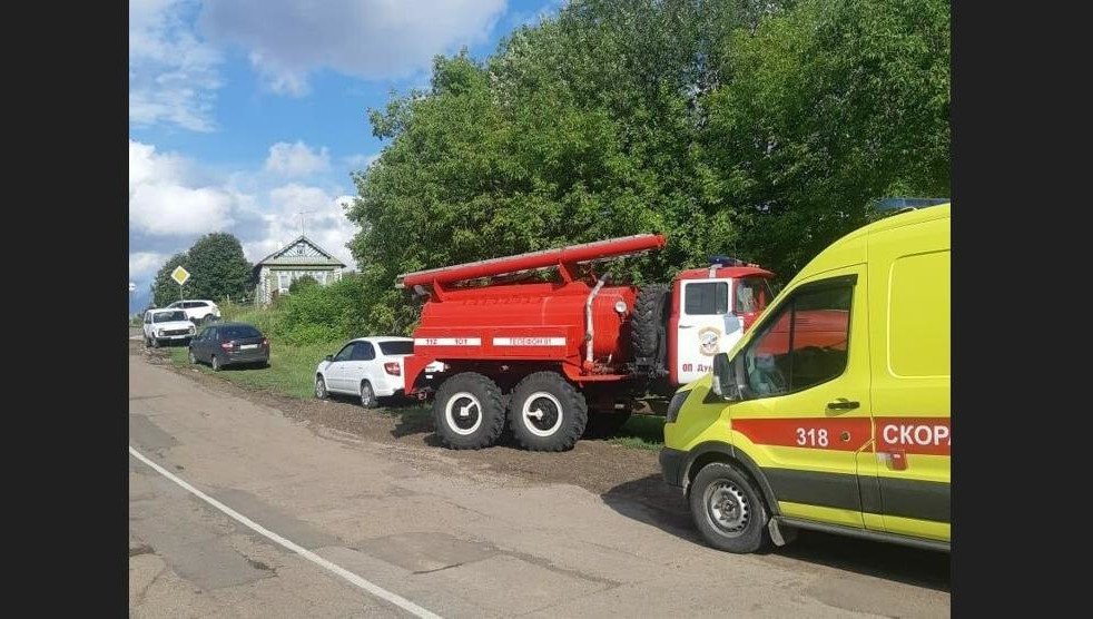 Мужчина спиливал дерево
