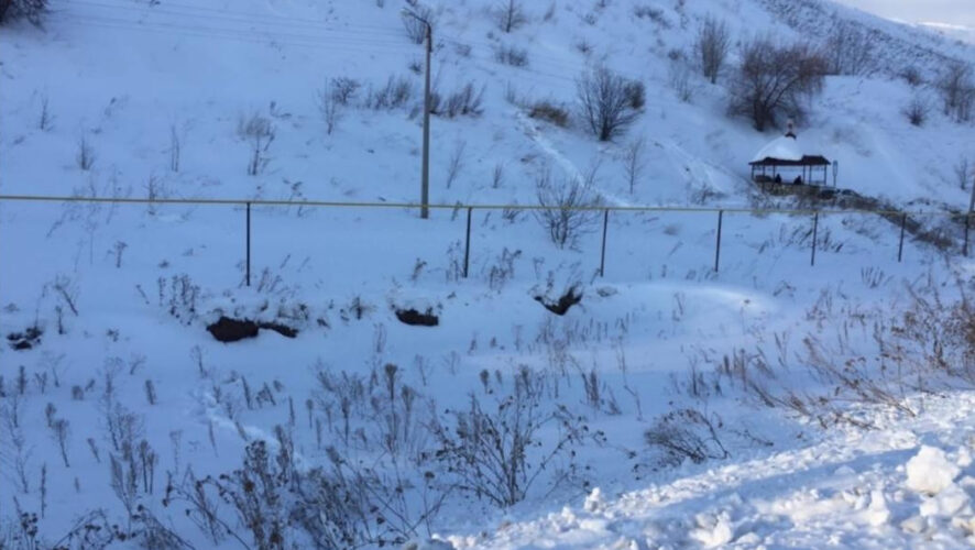 Специалисты объяснили возмущенным горожанам