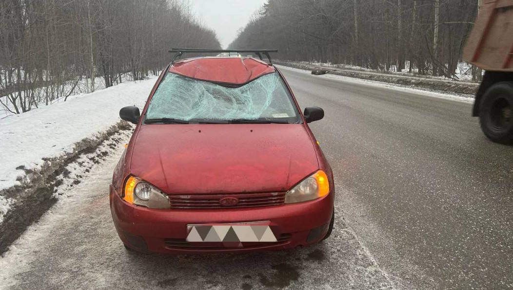 Водитель легковушки не пострадал.