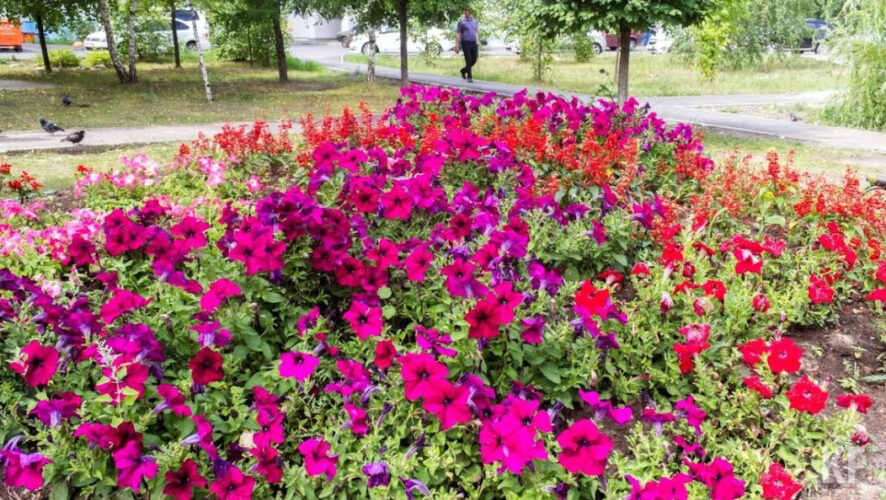 Город готовят к началу летнего сезона.