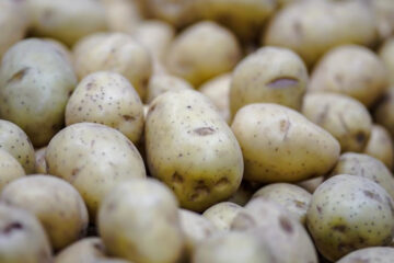 Цена за килограмм картофеля выросла на 40 процентов