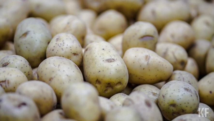 Цена за килограмм картофеля выросла на 40 процентов
