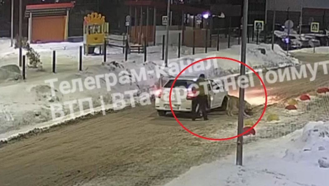 Страшную видеозапись опубликовали в соцсетях.