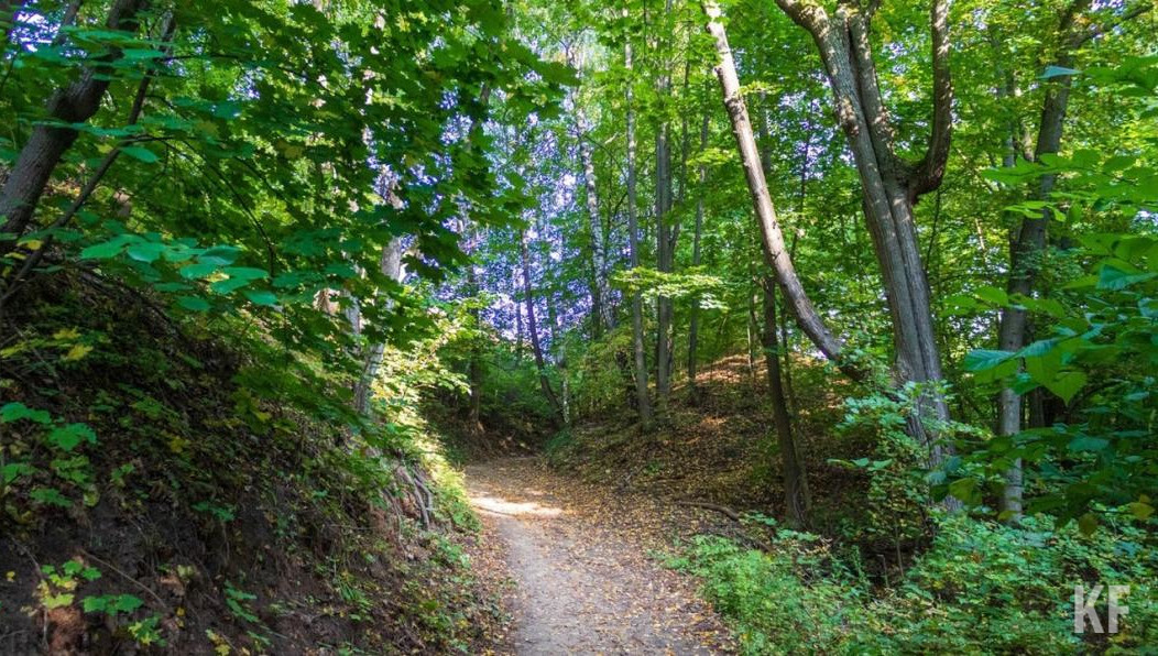 В планах открыть такой же центр у села Борок.