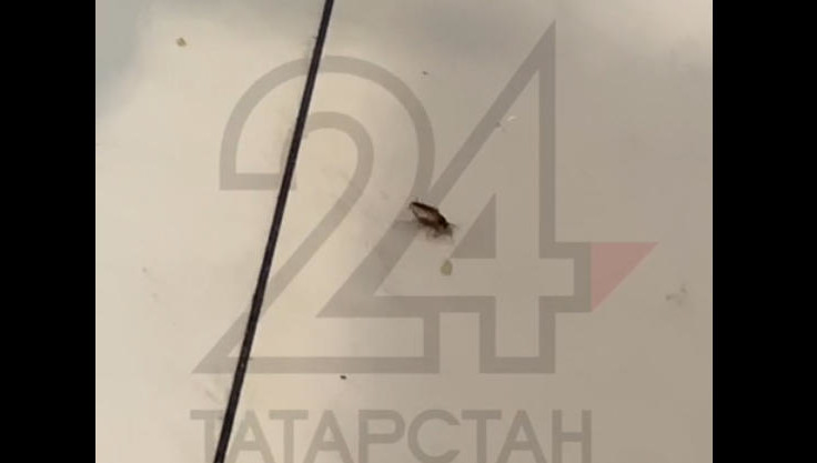 В доказательство казанцы отправили видео.