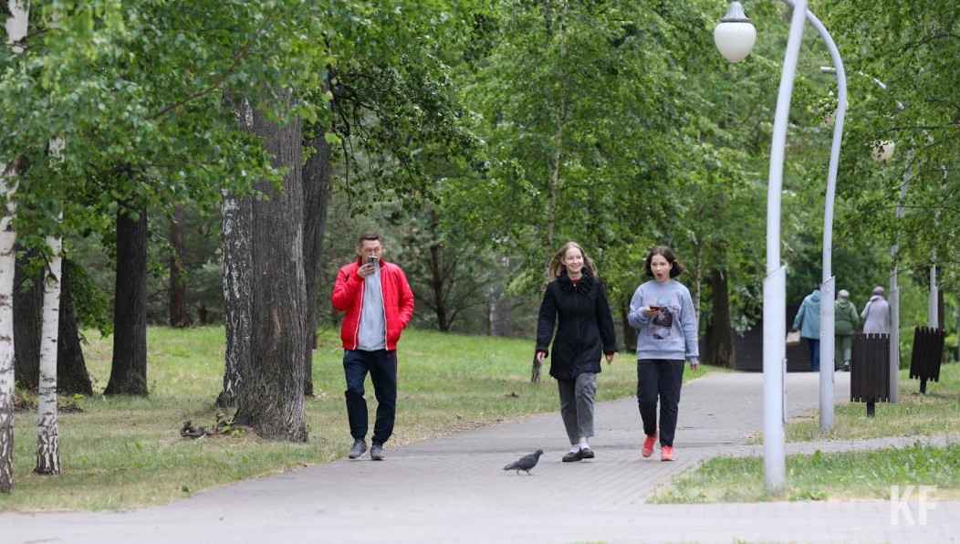 Во время строительства Вознесенского тракта появятся 1009 точек.