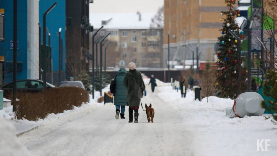 Зоны для выгуливания питомцев должны быть оборудованы урнами для&nbsp;отходов четвероногих.