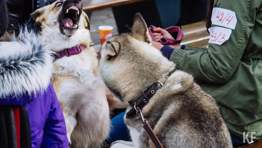 На данный момент таких правил пока нет