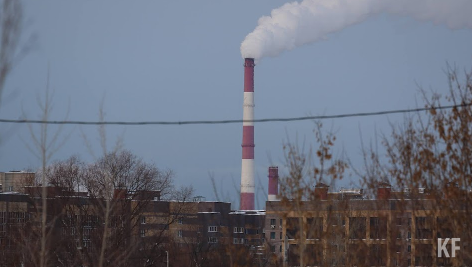 Юрлицо привлекли к административной ответственности.