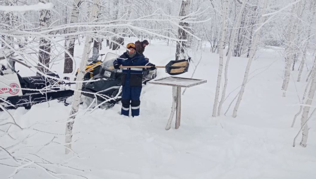 Так обитатели леса могут спокойно переждать холода и не испытывать нужду в поиске пищи.