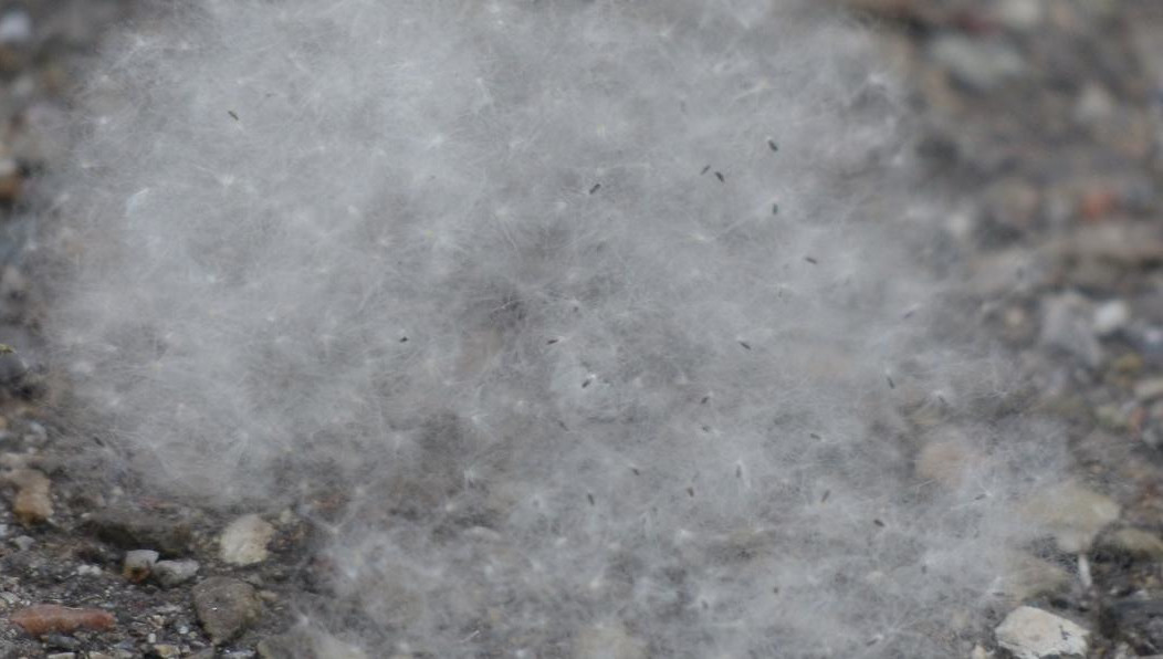 По словам специалиста