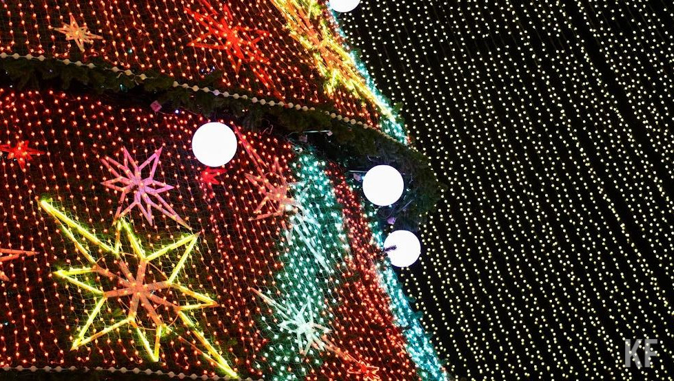 Жительница Пензы Лариса Фролова сообщила