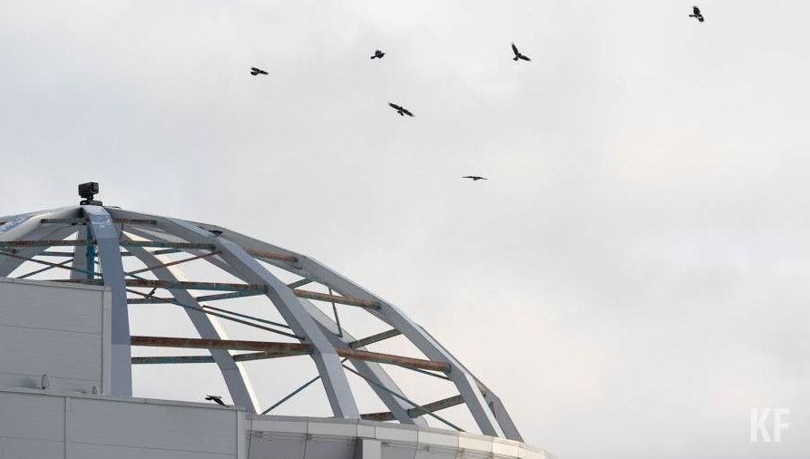 Причина их страха в недавнем туалетном инциденте.