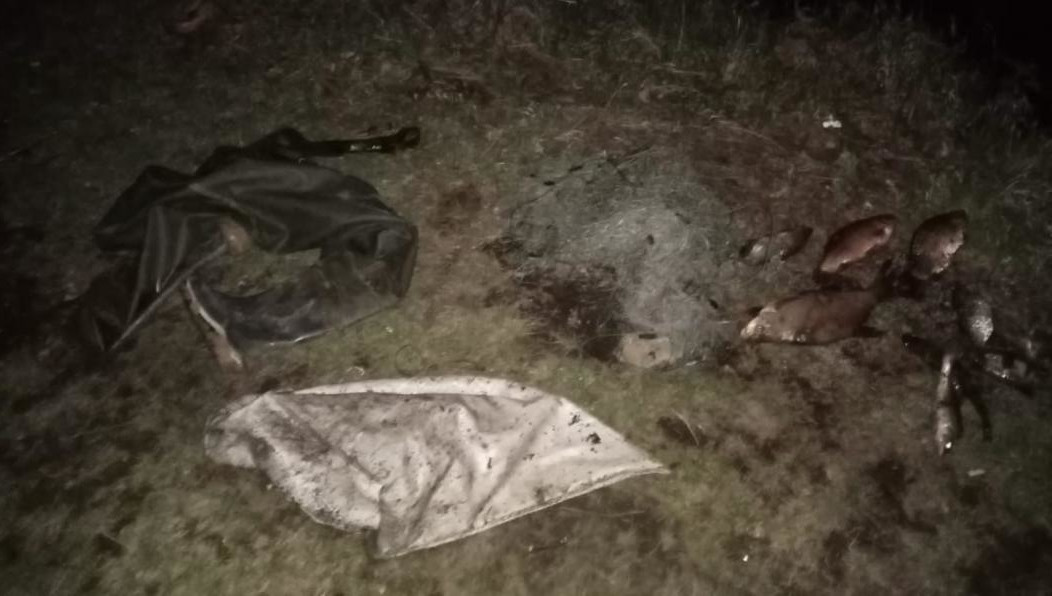 Решается вопрос о возбуждении уголовного дела.