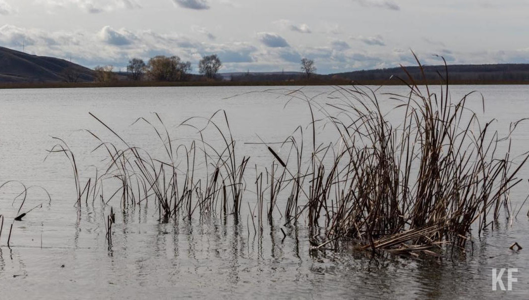 В катастрофе погибли два человека.