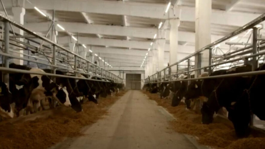 Также в районе намерены построить мегаферму.