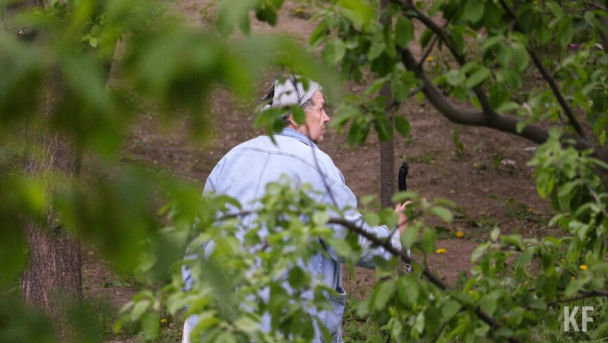 К данной категории отнесли ветки