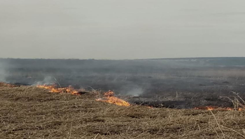 Основная причина подобных пожаров - неосторожное обращение с огнем и поджог.