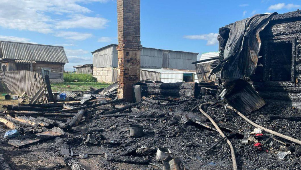Ребята и трое взрослых погибли при пожаре в Саитово.