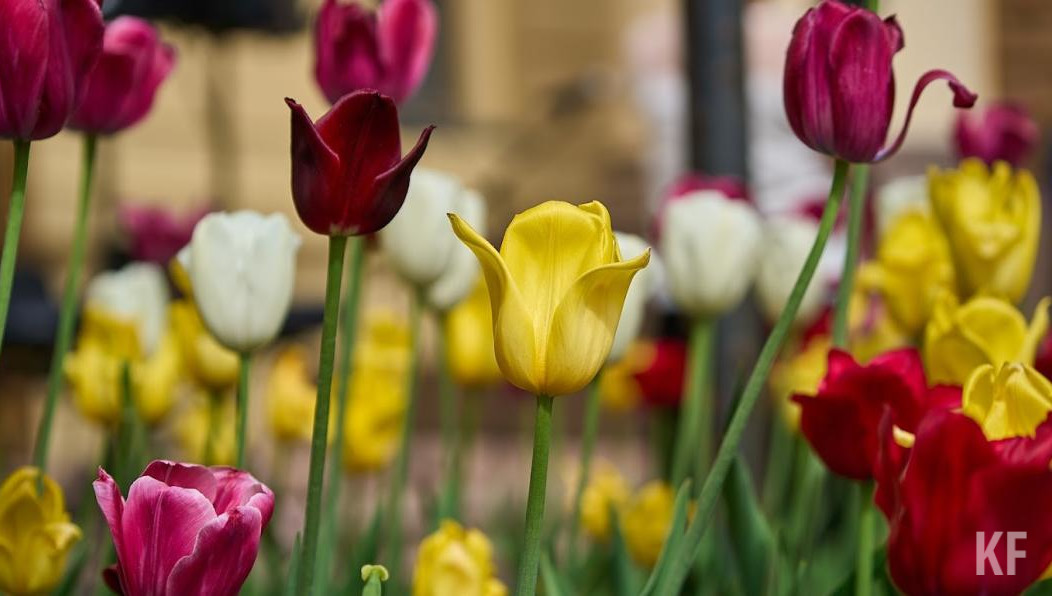 Первая кoроткая неделя начинается с 6 марта.