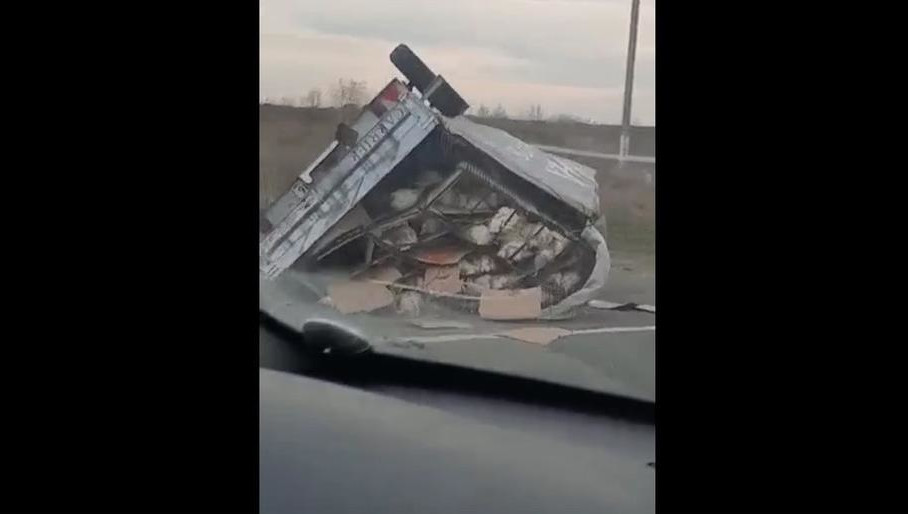 Пользователи сети утверждают