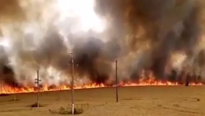 На место выехали 2 пожарные машины и 2 трактора.