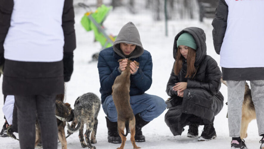 В столице Татарстана прошла благотворительная акция &laquo;Лапа дружбы&raquo;.