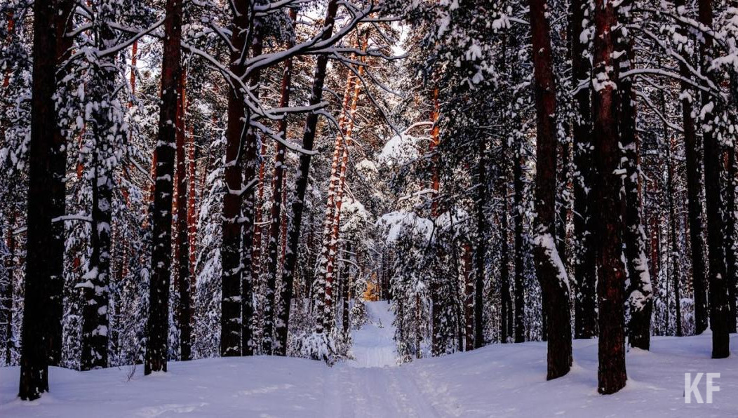 Малышей спасло то