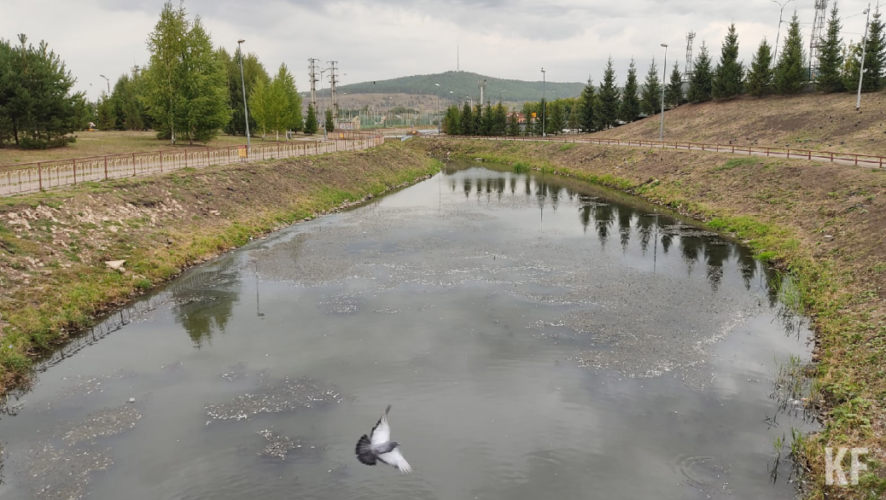 Во время обхода территории подняли вопрос о правильном содержании водоема.