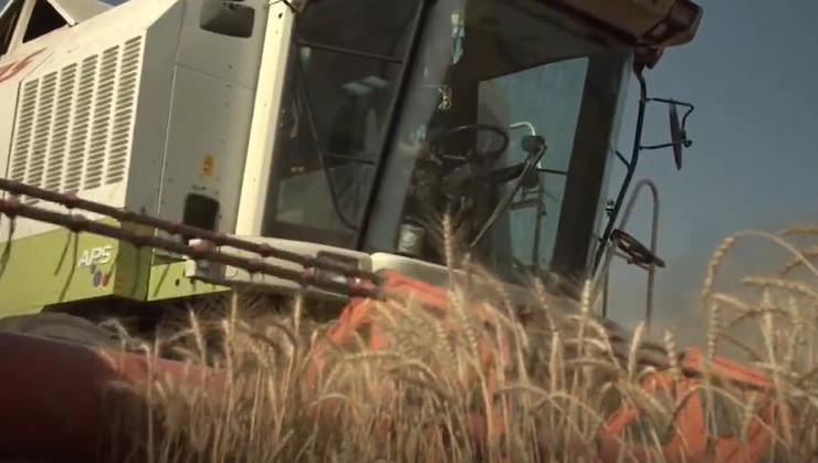 Президент республики поделился в соцсетях роликом