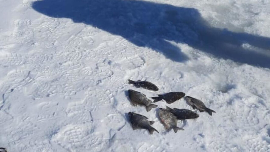 Решается вопрос о возбуждении уголовного дела.