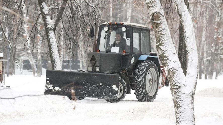 Из-за его решения повредились лесные насаждения.