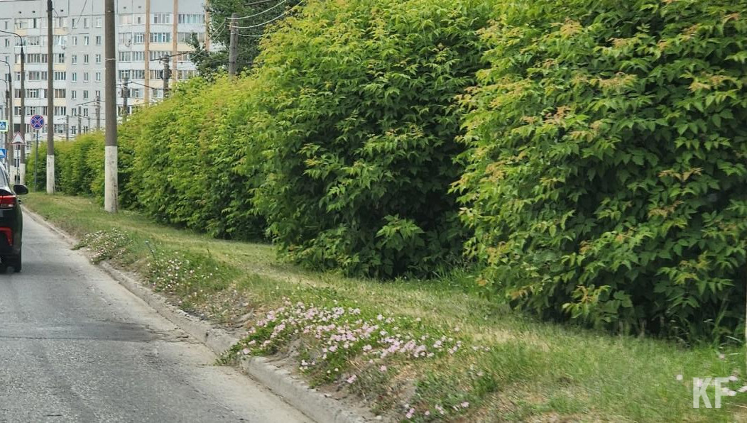 В Департаменте ЖКХ разъяснили ситуацию.