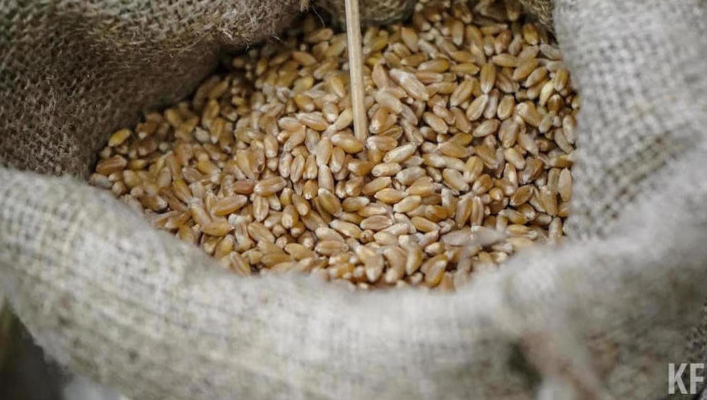 Анкара ведет переговоры с Москвой по ситуации о соглашении «на всех уровнях».