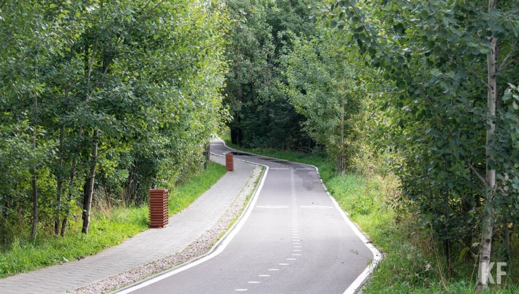 Заражение человека вирусом происходит во время присасывания насекомого.